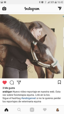 como usar instagram para negocios