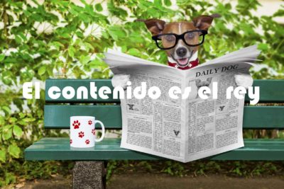 contenidos para sector veterinario y del mundo animal