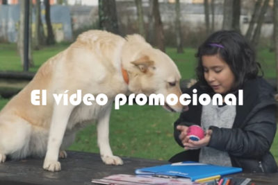 el vídeo promocional de mascotas como medio de publicidad