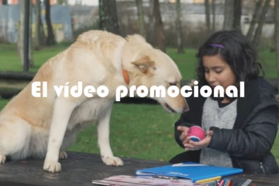 el vídeo promocional de mascotas como medio de publicidad