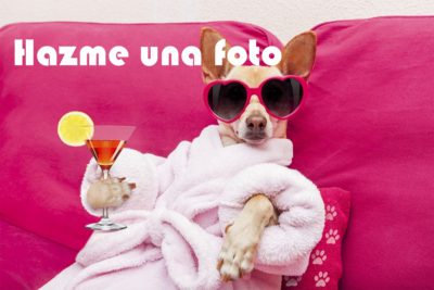 taller de fotografía para redes sociales