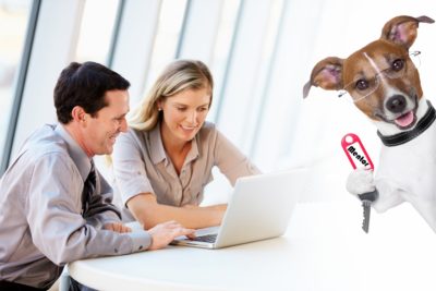 Mentoring para negocios