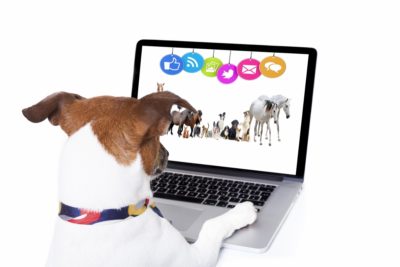 Taller de redes sociales: facebook