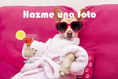 taller de fotografía en redes sociales