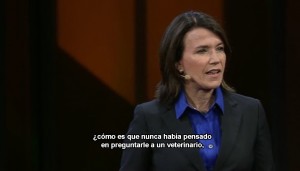 veterinarios y medicos