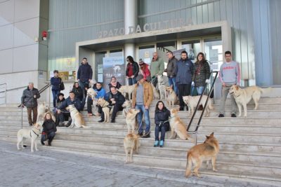 voluntarios en la grabación del anuncio el perro ideal